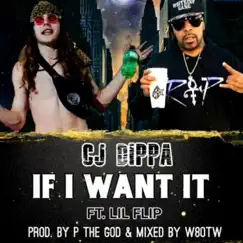 If I Want It (feat. Lil' Flip) - Single by Cj Dippa album reviews, ratings, credits