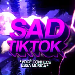 Beat Sad do Tiktok (Funk Remix) Song Lyrics