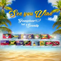 See You Wine - Single by Youngdrew407 album reviews, ratings, credits