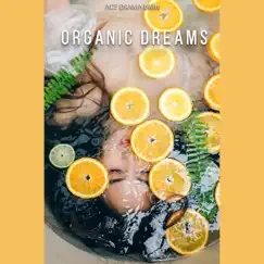 Organic Dreams - Single by Ace Drama album reviews, ratings, credits