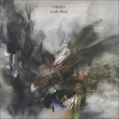 Little Bird - Single by Okho album reviews, ratings, credits
