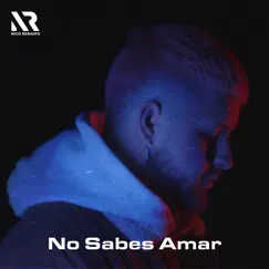 No Sabes Amar Song Lyrics