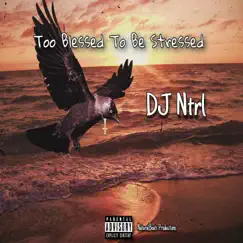 Too Blessed To Be Stressed - Single by DJ Ntrl album reviews, ratings, credits