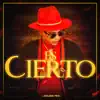 Es Cierto - Single album lyrics, reviews, download