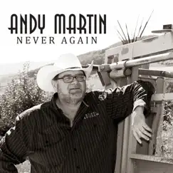 Never Again - Single by Andy Martin album reviews, ratings, credits