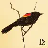 Red Winged Blackbird - Single album lyrics, reviews, download
