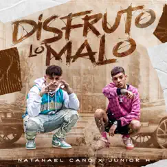 Disfruto Lo Malo - Single by Natanael Cano & Junior H album reviews, ratings, credits