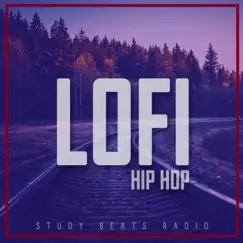 Sad Lofi Rap Beat (Instrumental) Song Lyrics