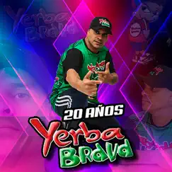 20 Años (En Vivo) by Yerba Brava album reviews, ratings, credits