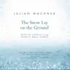 The Snow Lay on the Ground by Trinity Wall Street Choir, Trinity Youth Chorus, NOVUS NY & Julian Wachner album lyrics
