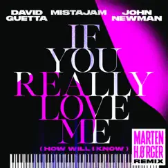 If You Really Love Me (How Will I Know) [Marten Hørger Remix] - Single by David Guetta, MistaJam & John Newman album reviews, ratings, credits