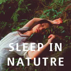 Sleep in Nature Song Lyrics