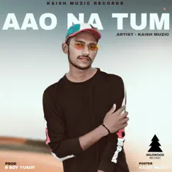 Aao Na Tum - Single by Kaish muzic album reviews, ratings, credits