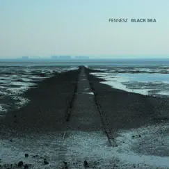 Black Sea by Fennesz album reviews, ratings, credits