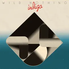 Indigo by Wild Nothing album reviews, ratings, credits