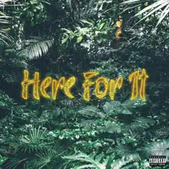 Here for It (feat. Suave the Don, Souly Had & Hunna G) Song Lyrics