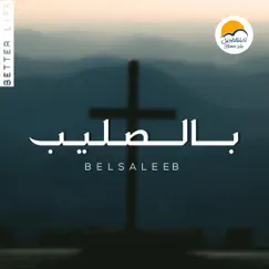 Bel Saleeb by Better Life album reviews, ratings, credits