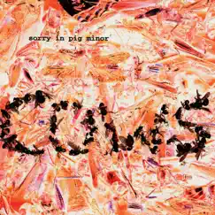 Sorry In Pig Minor by Cows album reviews, ratings, credits