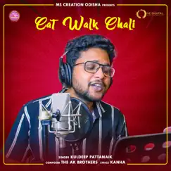 Cat Walk Chali Song Lyrics