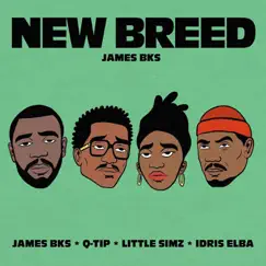 New Breed (feat. Q-Tip, Idris Elba & Little Simz) - Single by James BKS album reviews, ratings, credits
