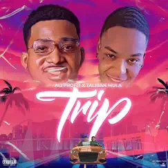 Trip Song Lyrics