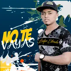 No Te Vayas Song Lyrics