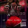 She a Dogg (She Supa Thick) [feat. PAYSO, DOLLA, CHI & SLOMO] - Single album lyrics, reviews, download