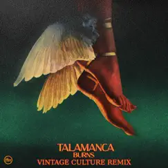 Talamanca (Vintage Culture Remix) Song Lyrics
