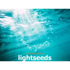 Sonic Diving (Echtzeit Remix) - Single by Lightseeds album reviews, ratings, credits