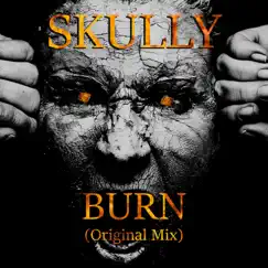 Burn (Radio Edit) - Single by Skully album reviews, ratings, credits