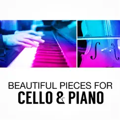 Cello Sonata in G Minor, Op. 65: III. Largo Song Lyrics