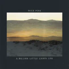 A Billion Little Lights (Live) by Wild Pink album reviews, ratings, credits