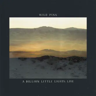 A Billion Little Lights (Live) by Wild Pink album download