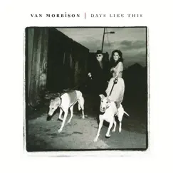 Days Like This by Van Morrison album reviews, ratings, credits