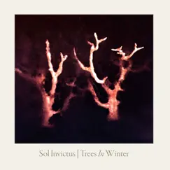 Trees in Winter Song Lyrics