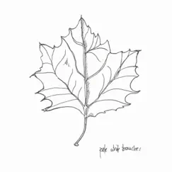 Pale White Branches by Andrew Howie album reviews, ratings, credits