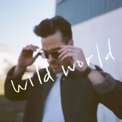 Wild World - Single by Trent Dabbs album reviews, ratings, credits