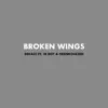 Broken Wings (feat. JB Roy & Franktha3rd) - Single album lyrics, reviews, download