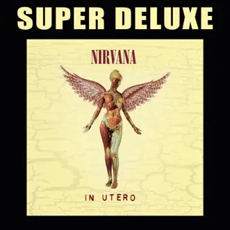 In Utero (20th Anniversary Super Deluxe Edition) by Nirvana album download