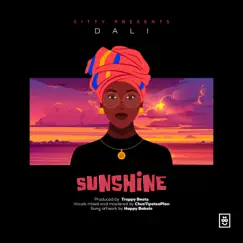 Sunshine - Single by Dali album reviews, ratings, credits