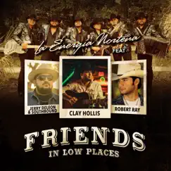 Friends in Low Places (feat. Robert Ray, Clay Hollis & Jerry DeLeon & Southbound) - Single by La Energía Norteña album reviews, ratings, credits