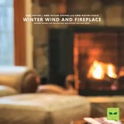 Winter Wind and Fireplace (Nature Sounds for Relaxation, Meditation and Deep Sleep) by Ambi Nature Sounds, Ambi Nature Radio & Ambi Nature album reviews, ratings, credits