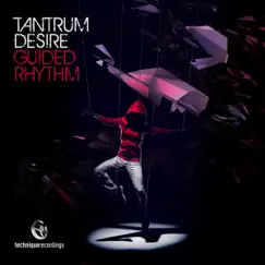 Guided Rhythm - Single by Tantrum Desire album reviews, ratings, credits