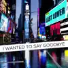 I Wanted to Say Goodbye - Single album lyrics, reviews, download