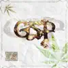 Thc & Trauma (feat. GSP Gass) album lyrics, reviews, download