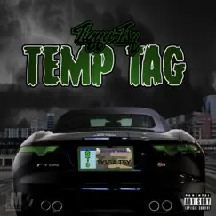 Temp Tag - Single by TiggaTsy album reviews, ratings, credits