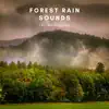 Forest Rain Sounds For Meditation - EP album lyrics, reviews, download