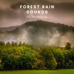 Forest Rain Sounds For Meditation - EP by Natural Sounds Selections, Nature Sound Collection & Zen Sounds album reviews, ratings, credits