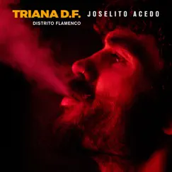 Triana D.F. - Distrito Flamenco by Joselito Acedo album reviews, ratings, credits