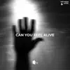 Can You Feel Alive - Single album lyrics, reviews, download